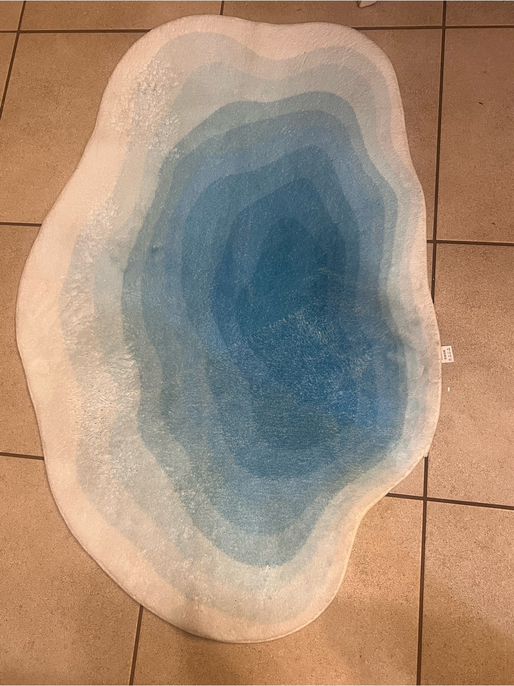 Blue Gradient Coastal Irregular Shaped Area Rug